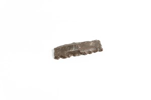 Image description is not available for 2010.3.6